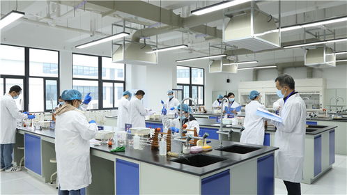 強化技能比拼主陣地 筑牢質(zhì)量安全防線——瀘江首屆檢驗檢測機構(gòu)檢驗能力比對比武在四川化工職業(yè)技術(shù)學院舉辦